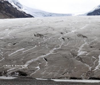 The Athabasca Glacier is one of the six principal -toes- of the Columbia Icefield, Jasper National Park, Alberta