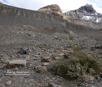 Athabasca Glacier is part of the Columbia Icefield, Jasper National Park, Alberta, Canada