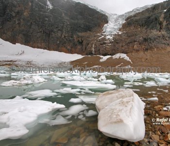 Angel Glacier above Cavell Pond