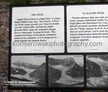 Edith Cavell information.....