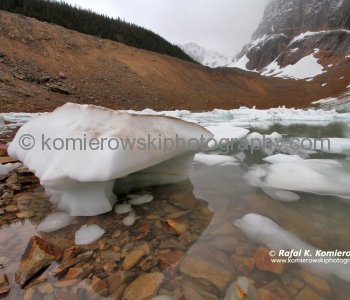 Edith Cavell Pond, one of Jasper National Parks most beautiful...