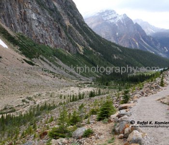 A view to the Cavell Creek and Astoria River Valleys from the Cavell Meadows Trail, Jasper National Park, Alberta.