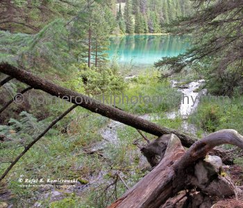 Valley of the Five Lakes, Jasper National Park, Alberta, Canada