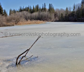 Glenmore Park, Calgary March 12, 2015