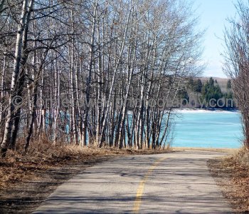 Glenmore Park, Calgary March 12, 2015