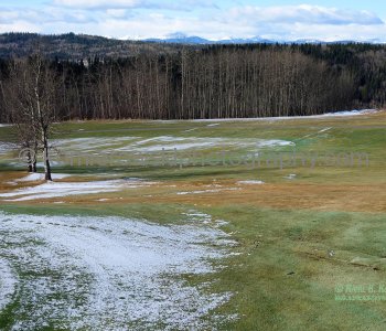 Last day of winter, March 19, 2015 . Priddis Greens Golf and Country Club,