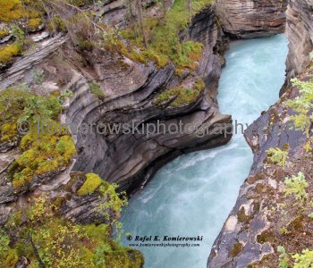 Athabasca Falls on Athabasca River,  Jasper National Park, Alberta, Canada