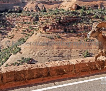 Colorado National Monument, USA