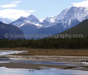 Rockies seen from Icefields Parkway near Sunwapta Falls,  Jasper National Park, Alberta, Canada