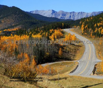 Foothills  Under Golden Autumn (West of Calgary), Alberta, Canada