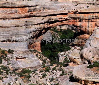 Natural Bridges National Monument,  (US National Park Service), Utah, USA
