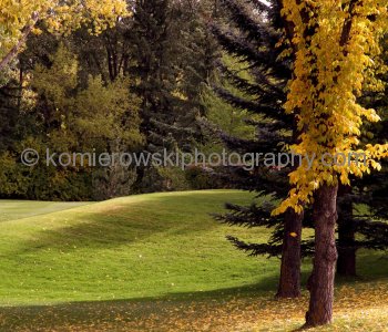 Calgary Golf  and Country  Club,   Calgary, Alberta, Canada