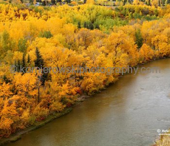 Elbow River  seen from Britania,  Calgary, Alberta, Canada