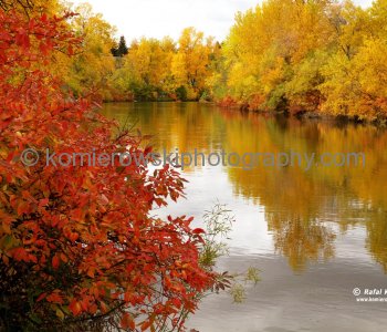 Elbow River at Stanley Park,  Calgary, Alberta, Canada