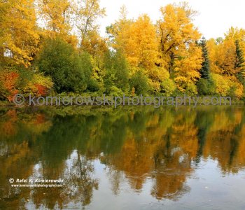 Elbow River at Stanley Park,  Calgary, Alberta, Canada