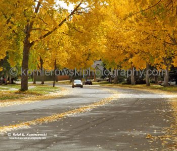 Palliser Drive SW, Oakridge,  Calgary, Alberta, Canada