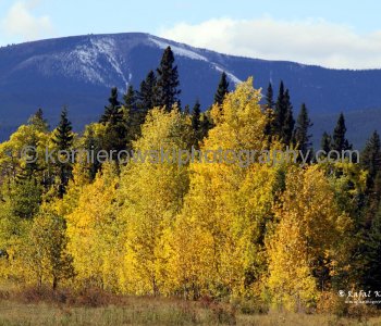 Rockies west of Bragg Creek, Alberta, Canada