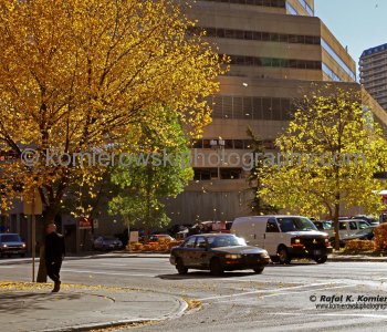 Calgary Under a Golden Autumn, Downtown