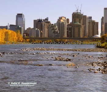 Calgary Under a Golden Autumn, Downtown West End