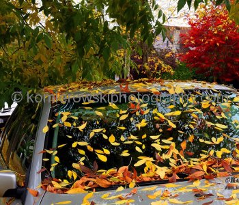 Vancouver, BC,  First days of Fall