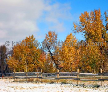 Dreaming of a white (Canada) Thanksgiving?