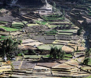 Colca Canyon, Chivay, Peru