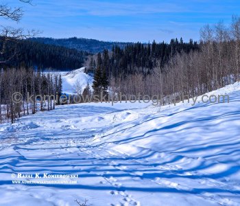 Winter hike at Priddis Greens,  Alberta, Canada