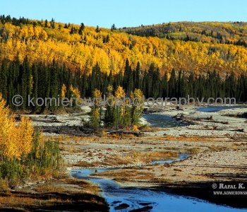 Golden Autumn in the Foothills, Alberta, Canada