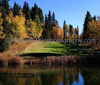 Priddis Greens ...walk among the vanishing autumn colors. Alberta, Canada