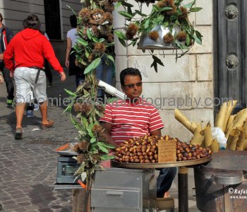 Vendor  at   Piazza di Spagna,  Rome