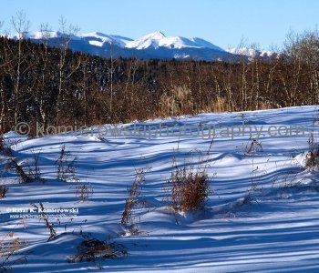 Whispers of Winter at Foothills, West of Calgary, Alberta