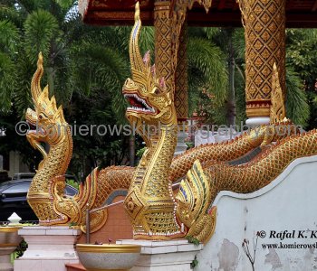 Buddhist Temple Guardians.... Dragons, Demons, Snakes and More, Thailand