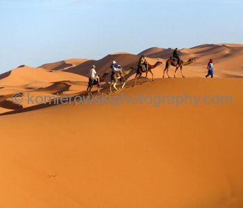Sahara Desert near Erg Chebbi, Morocco