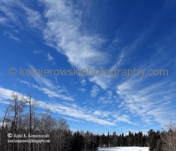 A winter walk and Cross-Country Skiing at Priddis Greens, Alberta, Canada