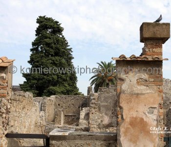 Instead of a solid wall of bricks or stone blocks, a Pompeii wall more often had facings of brick or stone, a cavity in the center filled with rubble and mortar or packed clay, and a coating of plaster.