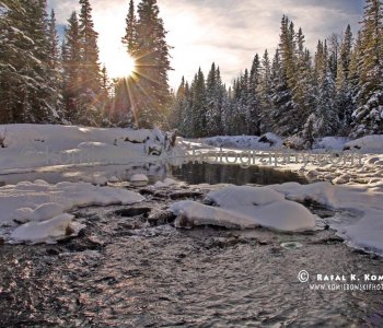 Sibbald Flats