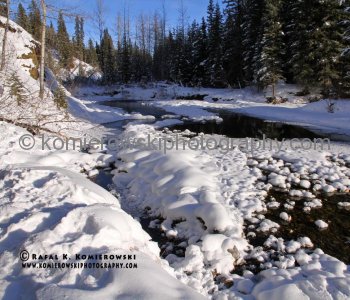 Sibbald Flats