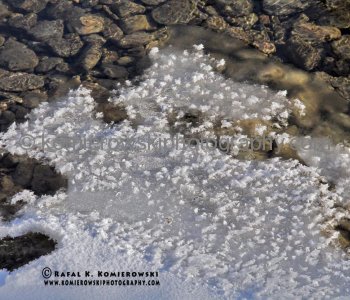 Sibbald Flats