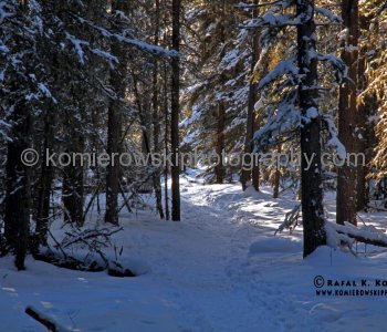 Captain Palliser heard the local legend of an Indian named Kananaskis.