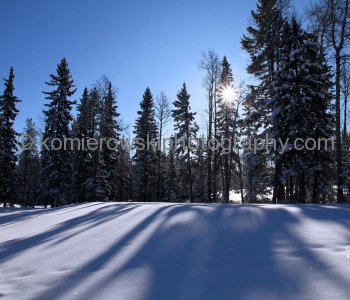 Winter Wonderlands â€“ Calgary and Region, Alberta