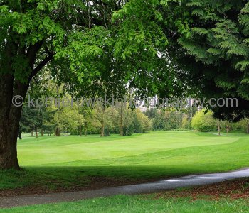 Spring in Vancouver, British Columbia