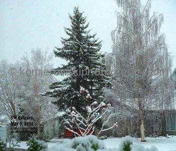 White Spring in Calgary and Rockies, Alberta/British Columbia