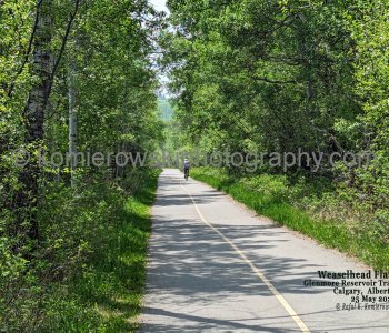 Glenmore Reservoir Trail, Calgary, Alberta, Canada