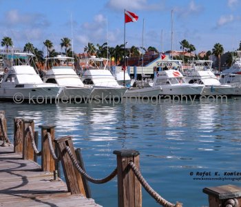 The marina of Oranjestad, Aruba