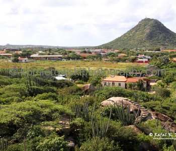 Mt. Hooiberg is a 168 m high (541 ft) volcanic formation on the islaf Aruba. It is located almost in the center of the island and can be seen from virtually every place....