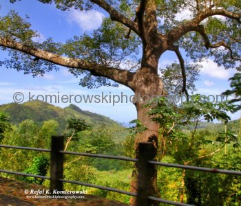 The island has very remarkable topography, with several mountainous regions