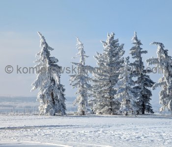Magical Hoarfrost Winter Wonderland, Calgary, Alberta, Canada