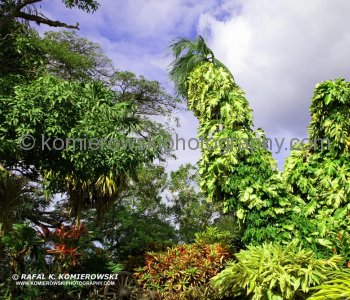Caribelle Batik, a former sugar plantation with some of the most beautiful garden on St. Kitts island....