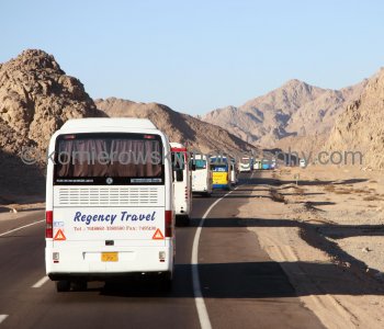 Convoy from Safaga to Luxor