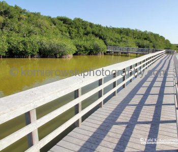 Everglades National Park near Flamingo area